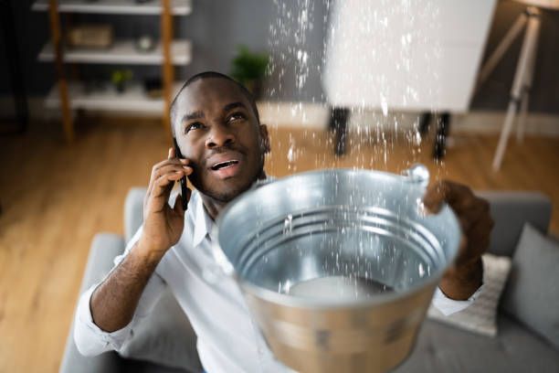 Best Flood damage cleanup  in Windsor, CO