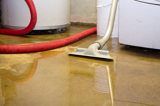 Best Carpet water damage restoration  in Windsor, CO