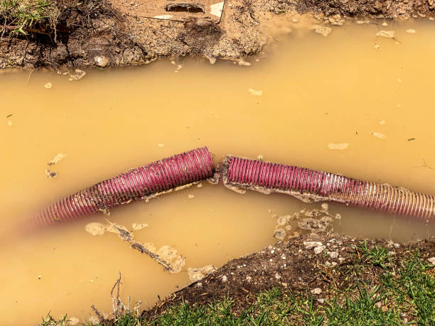 Best Emergency water damage restoration  in Windsor, CO