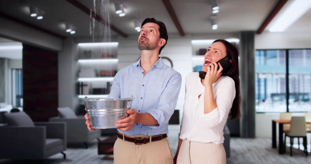 Best Ceiling water damage repair  in Windsor, CO